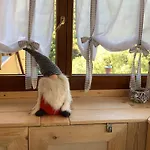 Al Bosco Incantato B&B 트리에스테