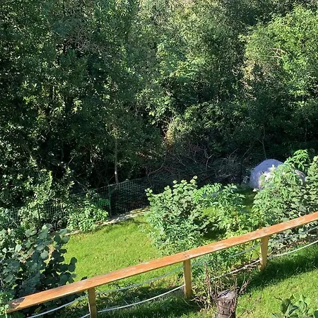 Al Bosco Incantato Couette-café Trieste