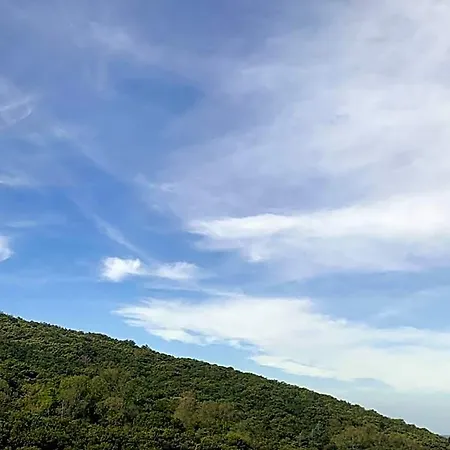Al Bosco Incantato 4* 的里雅斯特